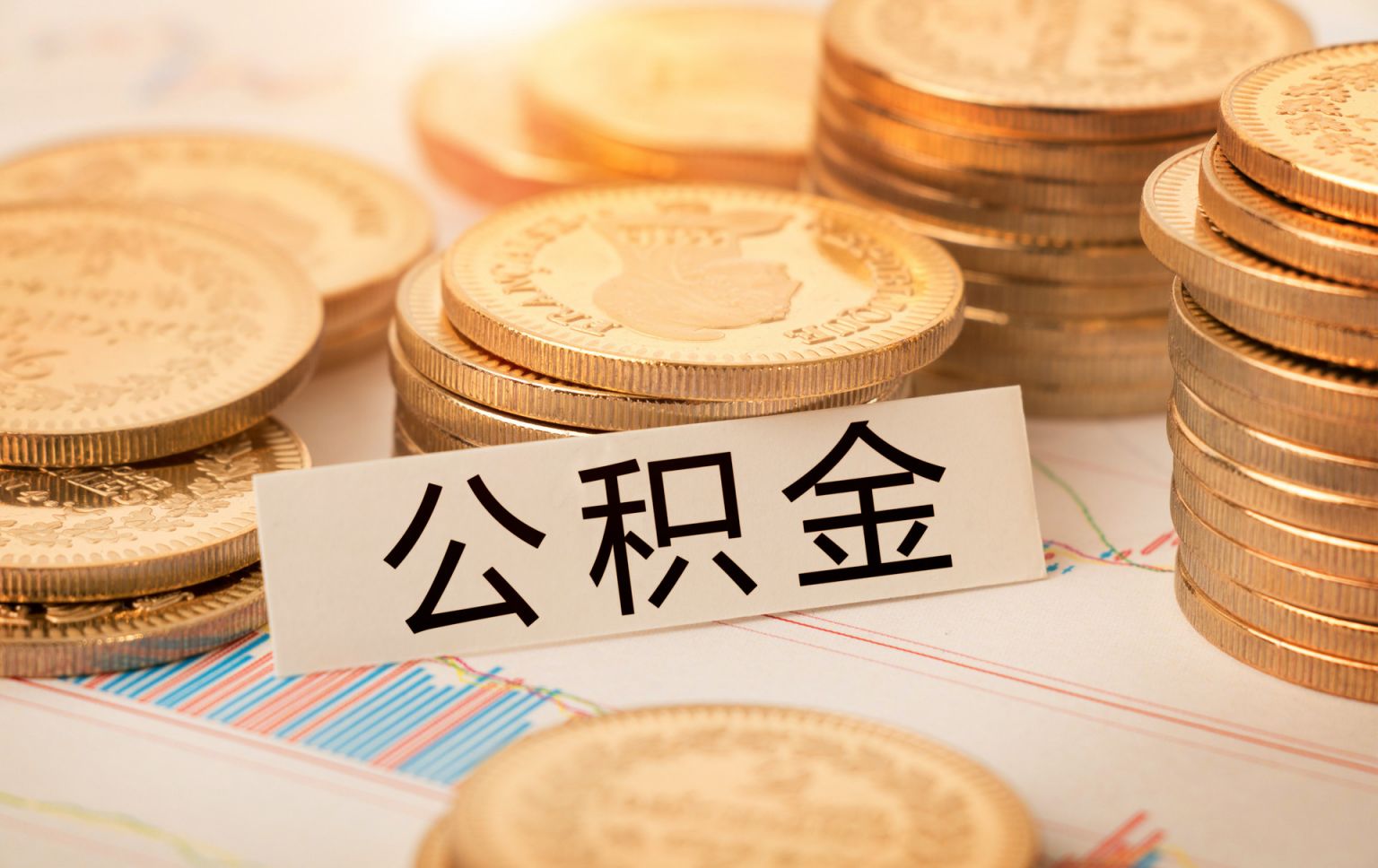 440304103659 违法和不良